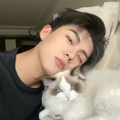 晏青梦